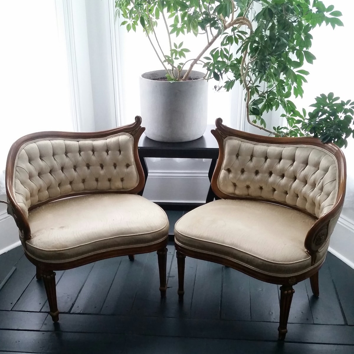 velvet chairs before